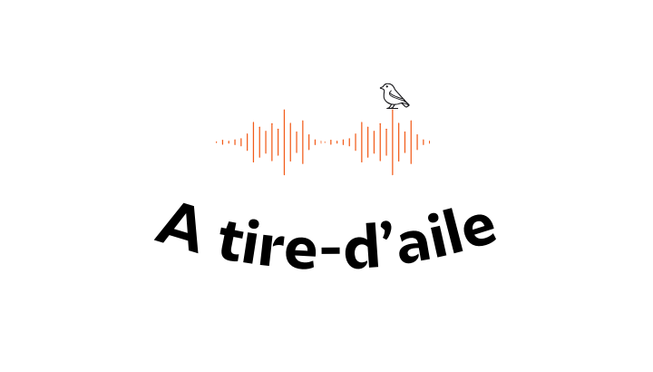 "A tire-d'aile", votre rendez-vous ornitho radio !